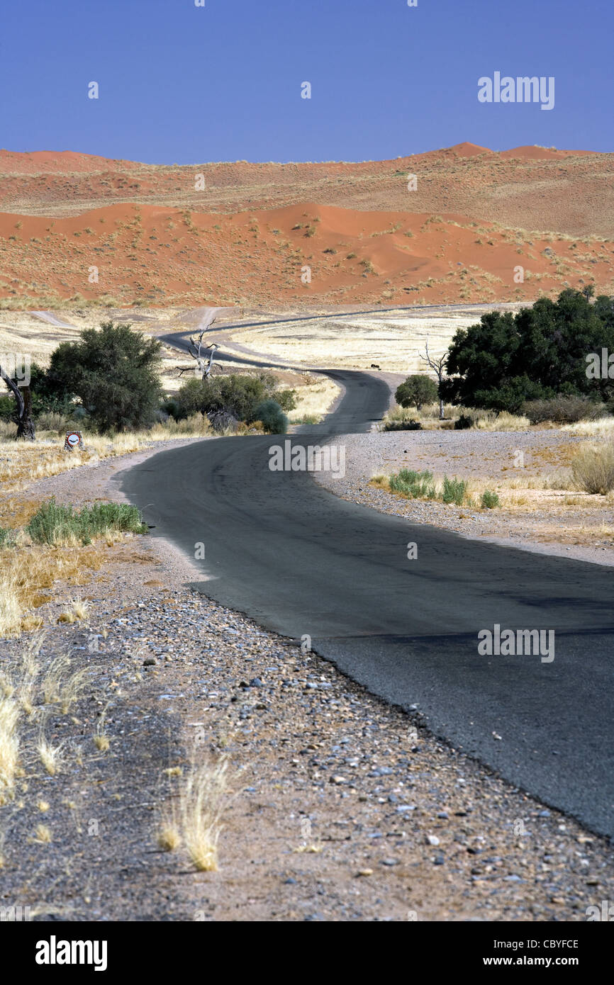 Carretera a través de Sossusvlei National Park - Parque Nacional Namib-Naukluft, Namibia, África Foto de stock