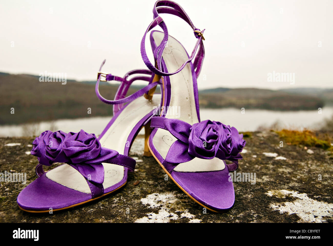 Violeta, zapatos de boda Fotografía de stock - Alamy