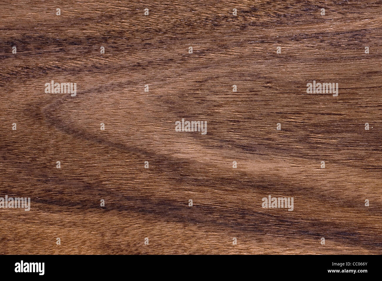 Tieghemella Heckelii Fotos e Imágenes de stock Alamy