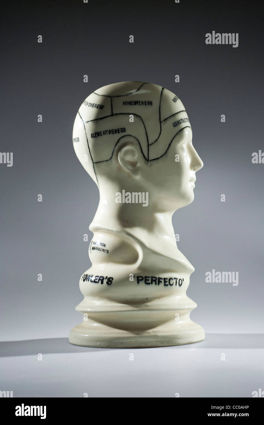 La frenología - la ciencia que estudia las relaciones entre el carácter de  una persona y la morfología del cráneo Fotografía de stock - Alamy