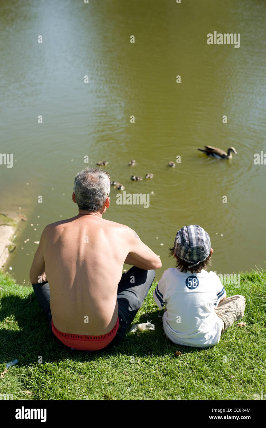 Padre e Hijo engorde de patos en el lago en el parque Foto de stock