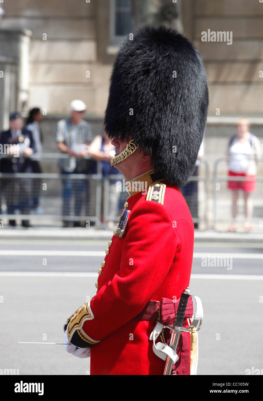 Banda militar portando sombreros bearskin el Día de los Veteranos en Londres, Inglaterra Foto de stock