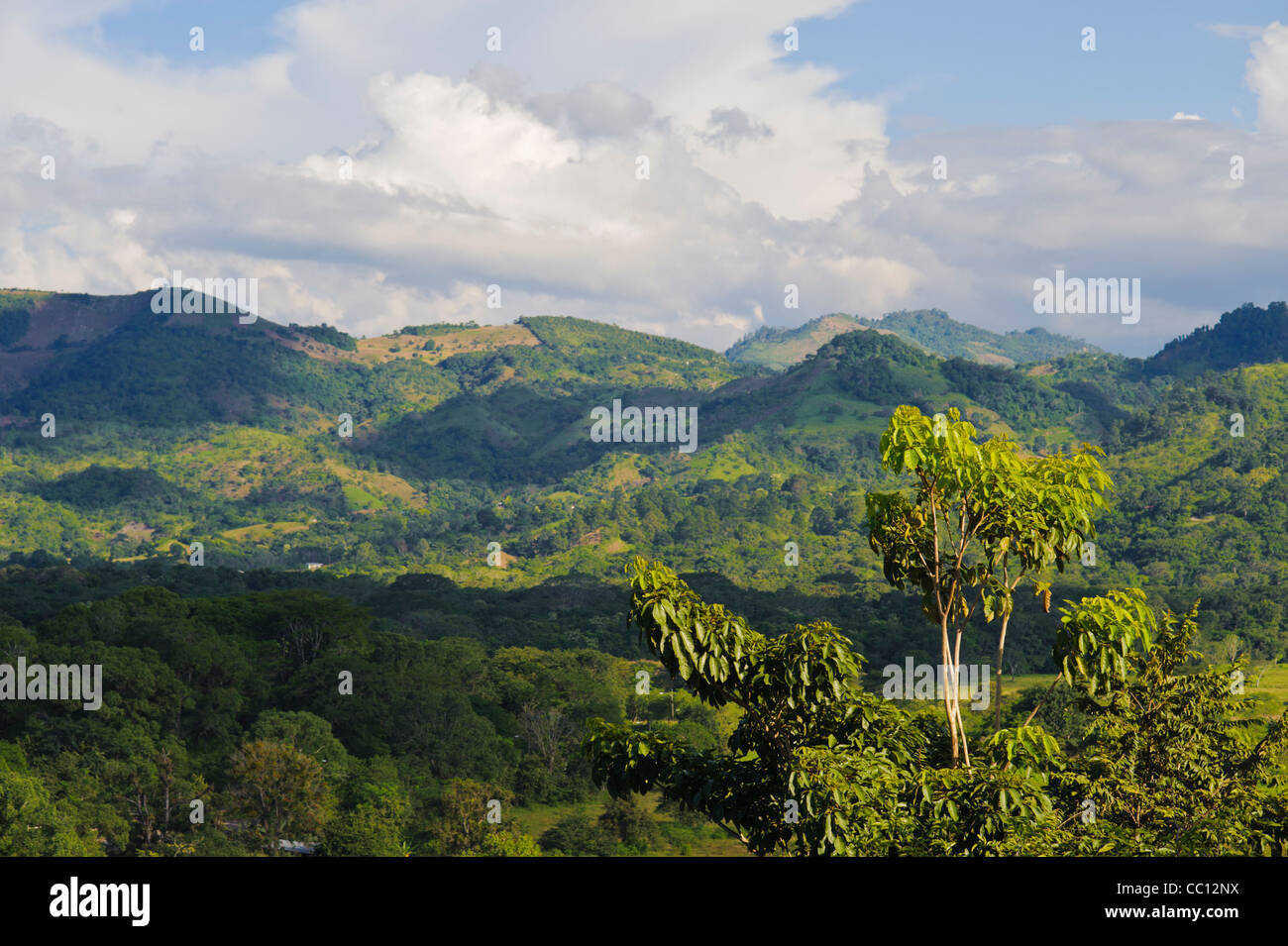 Valle del Río copan cerca de las Ruinas de Copán en Honduras Foto de stock