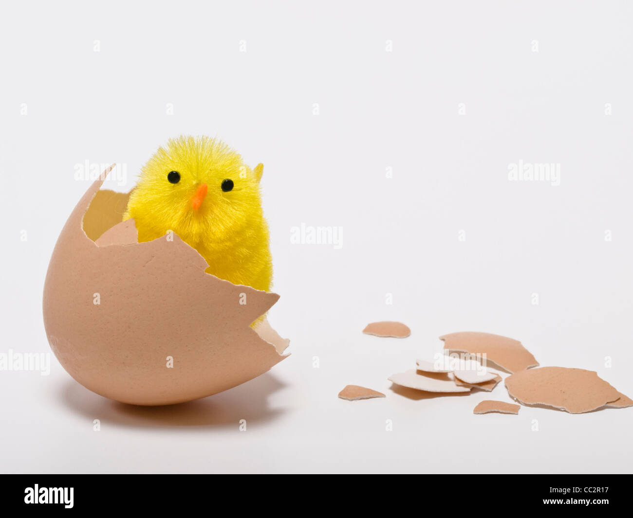 Un polluelo (toy) se encuentra en una cáscara de huevo rota Foto de stock