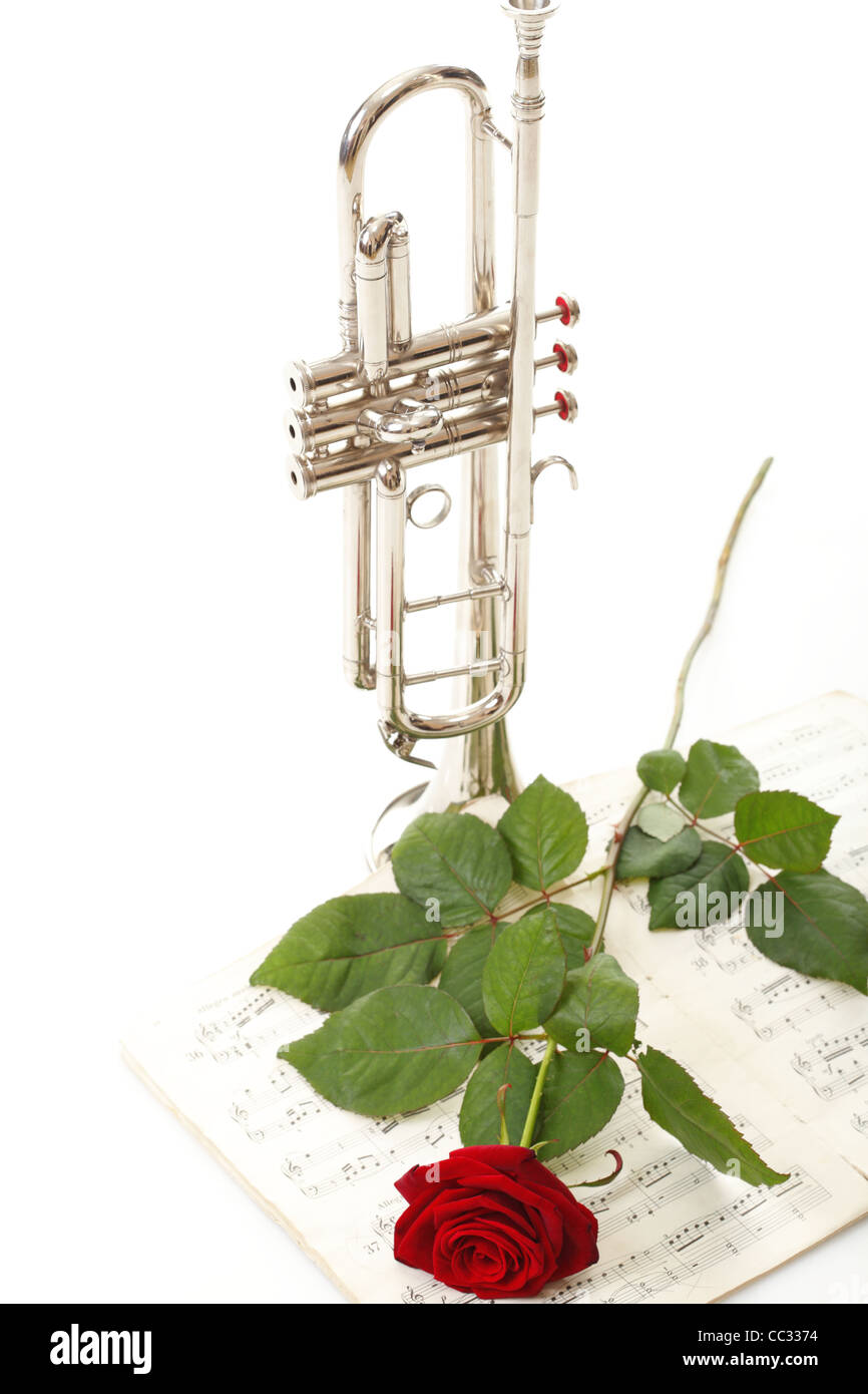 Rosa roja y notas nota vieja trompeta amar la música fondo blanco  Fotografía de stock - Alamy