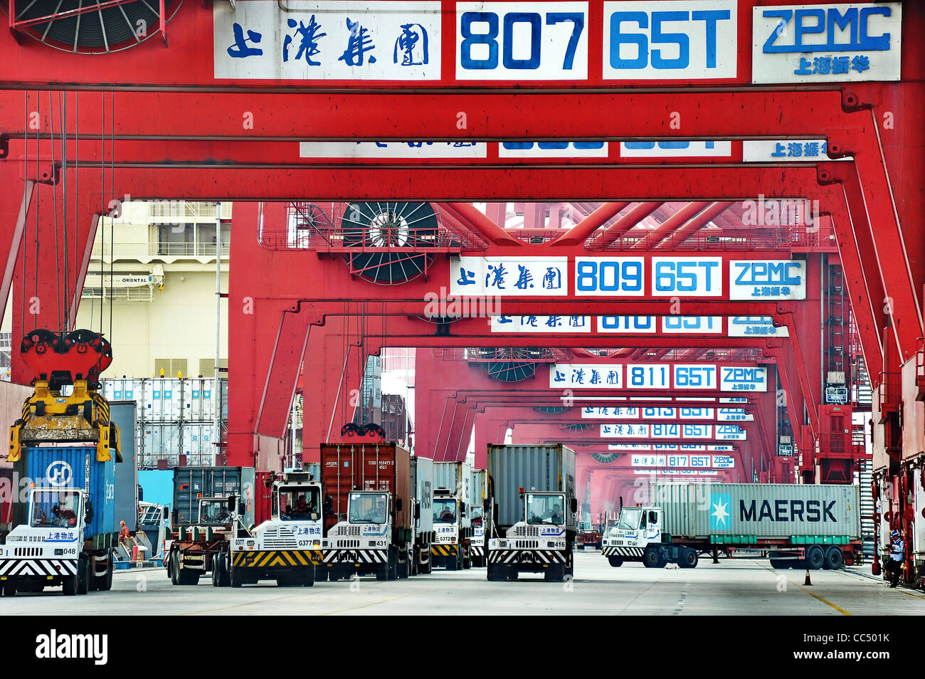 Serie de grúas la manipulación de contenedores, el Puerto de Yangshan Deep-Water, Nueva área de Pudong, Shanghai, China Foto de stock