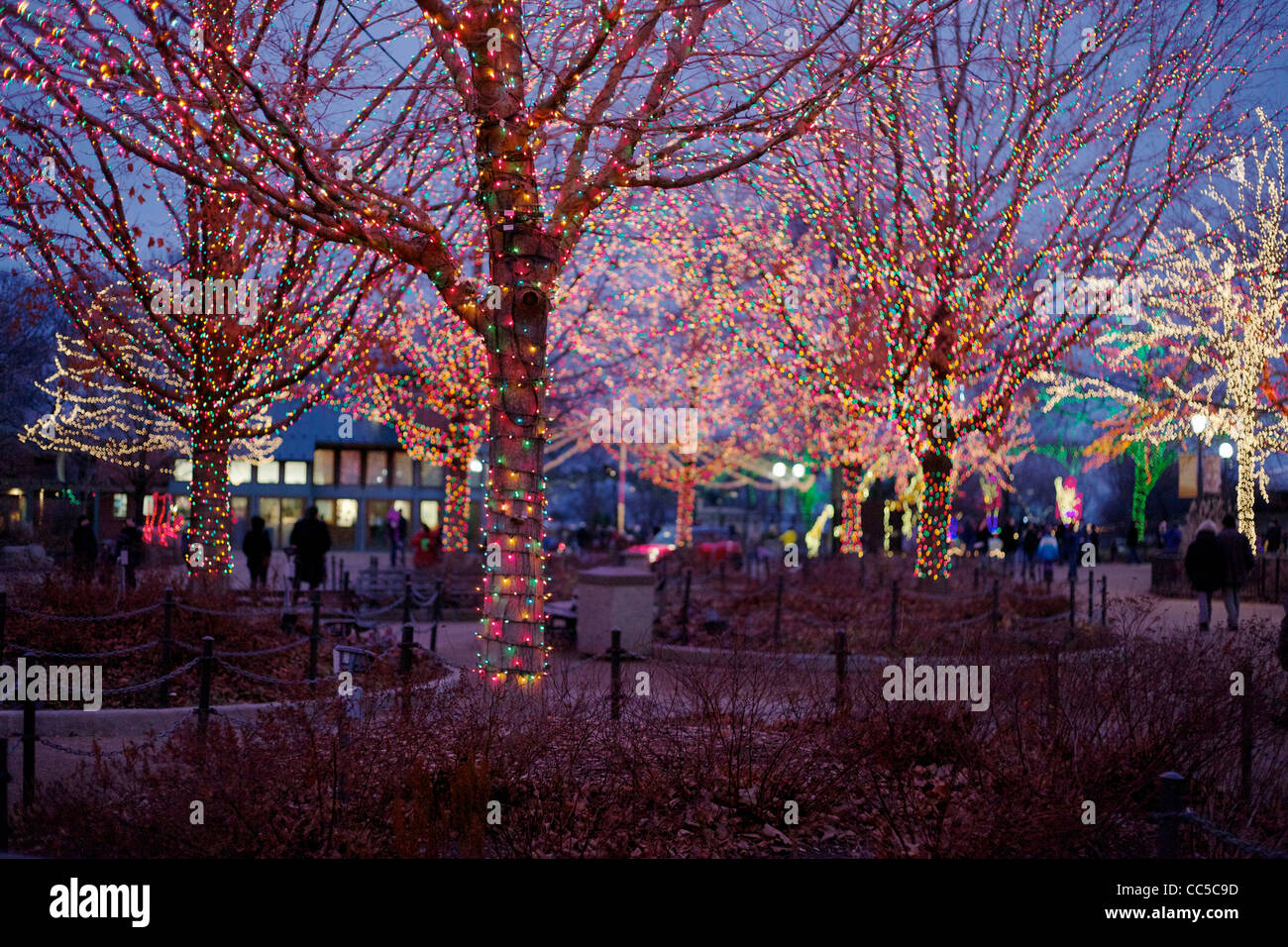 Lincoln Park Zoo festival de Luces de Navidad. Chicago, Illinois. Foto de stock