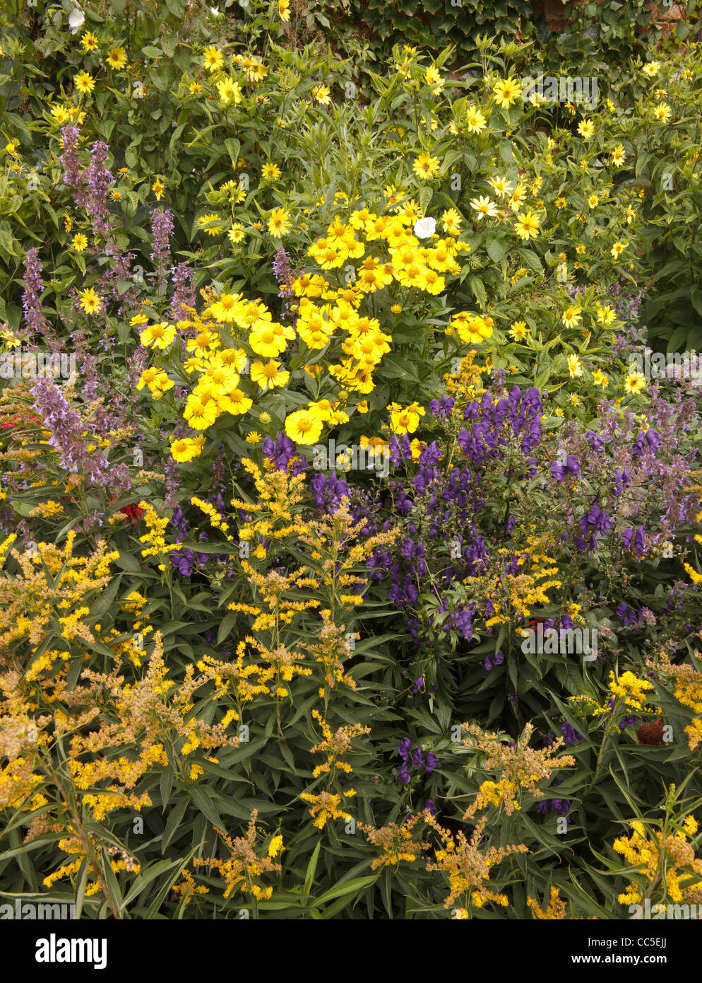 Colorida flor profunda cama frontera en jardín, Lincolnshire, Inglaterra, Reino Unido. Foto de stock