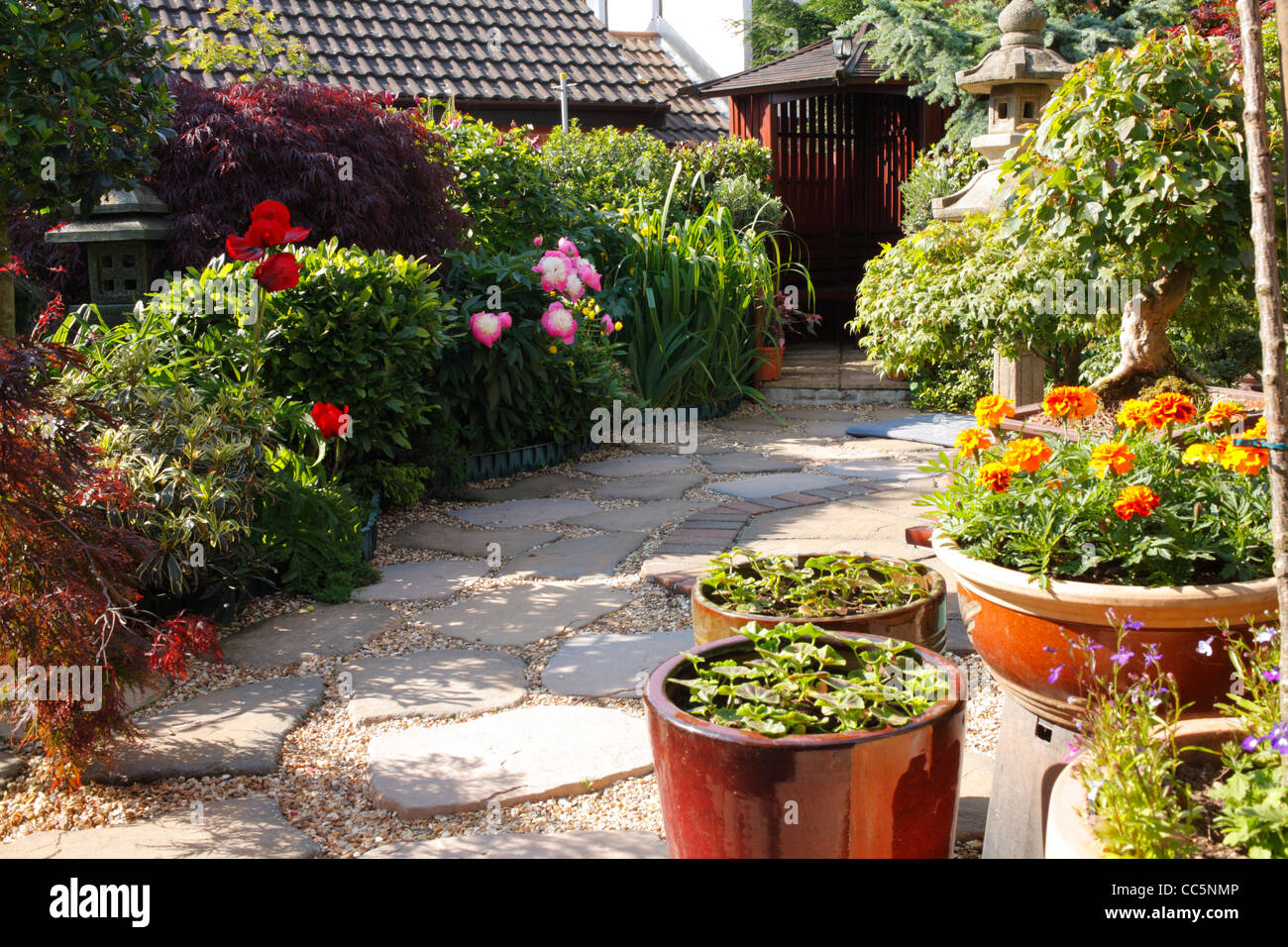 Plantas Decorativas, Arbustos, Árboles Y Flores En Cajas Y Macetas De  Madera Para Paisajismo, Jardinería Y Floricultura. Fotos, retratos,  imágenes y fotografía de archivo libres de derecho. Image 100036776