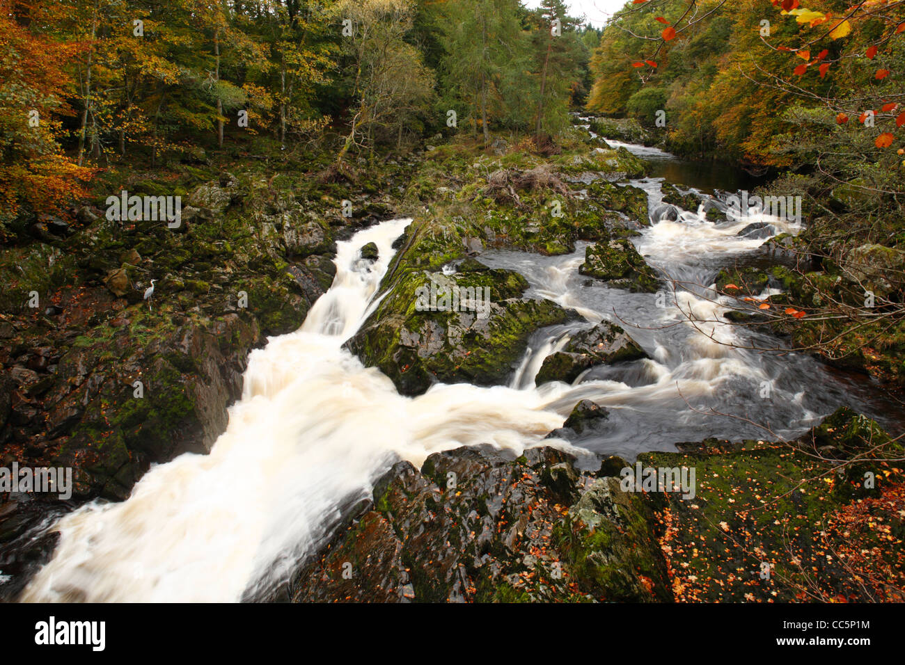 Caídas de Feugh en otoño. Cerca de Banchory, aberdeenshire, Escocia. De octubre. Foto de stock