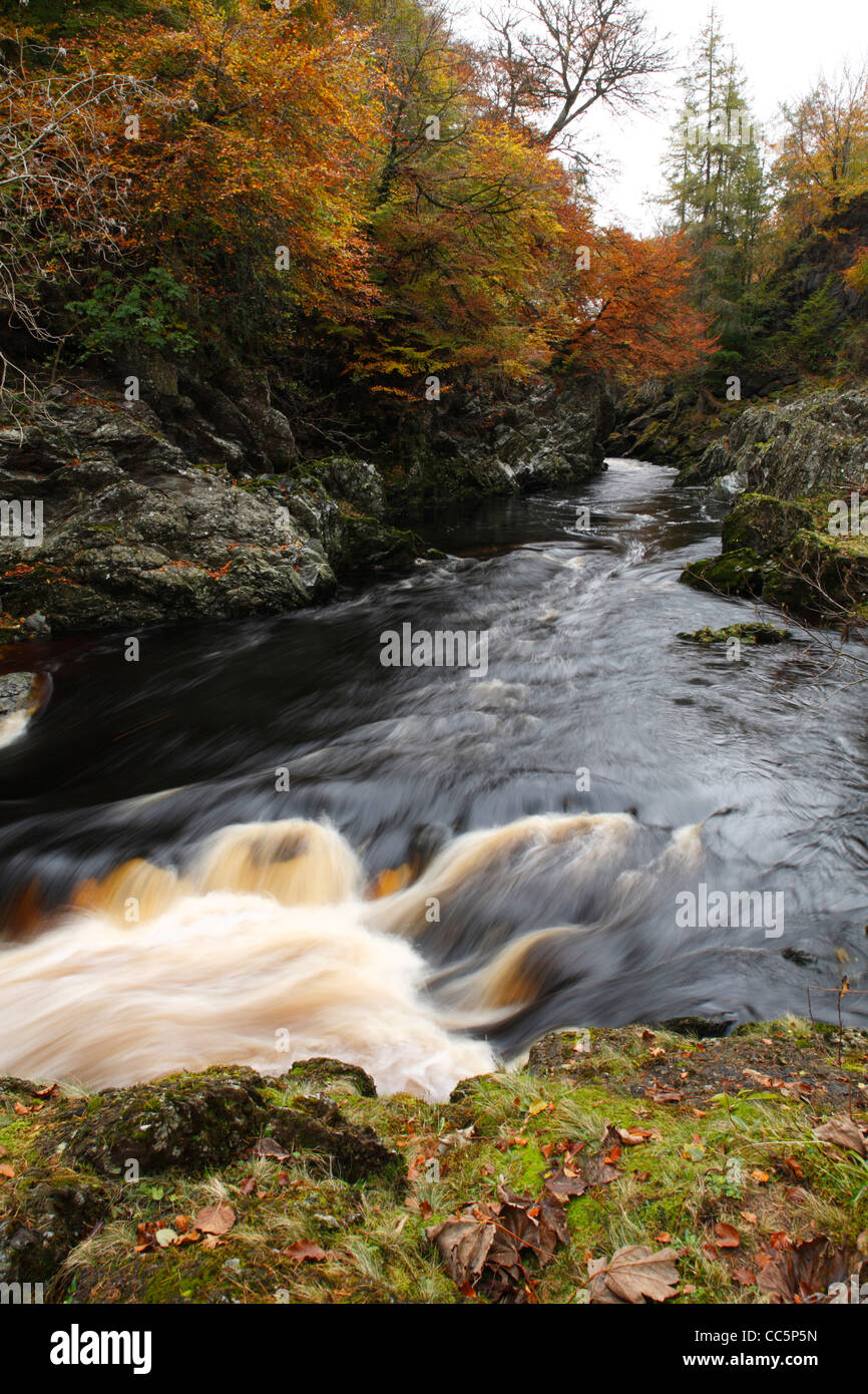 Desfiladero del río North Esk, conocidas como las rocas de la Soledad. Cerca de Edzell, Angus, Escocia. De octubre. Foto de stock