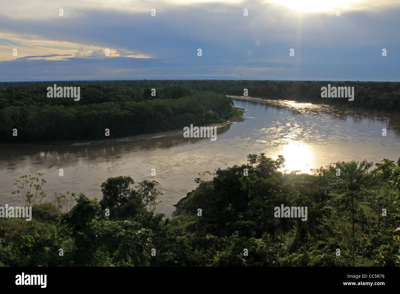 Selva Primaria visto desde el aire en la región de Madre de Dios, Perú (Amazonas) Foto de stock
