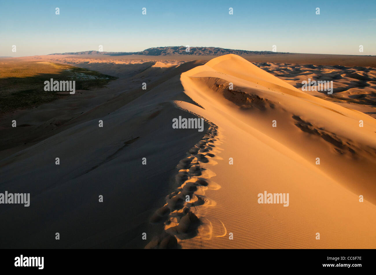Las dunas de arena de Khongoryn Els al atardecer en el desierto de Gobi de Mongolia Foto de stock
