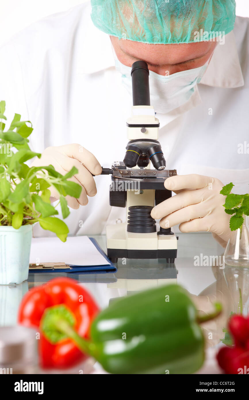 Investigador con vegetales OGM Foto de stock