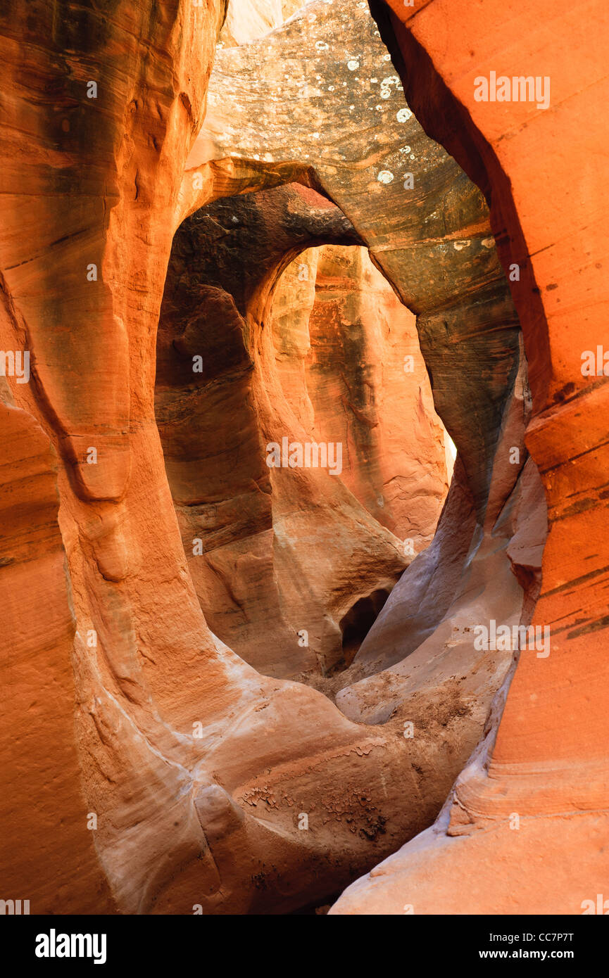 Arch dentro de Peek-A-Boo slot canyon, agujero en un Rock Road, el Grand Staircase National Monument, Utah, EE.UU. Foto de stock
