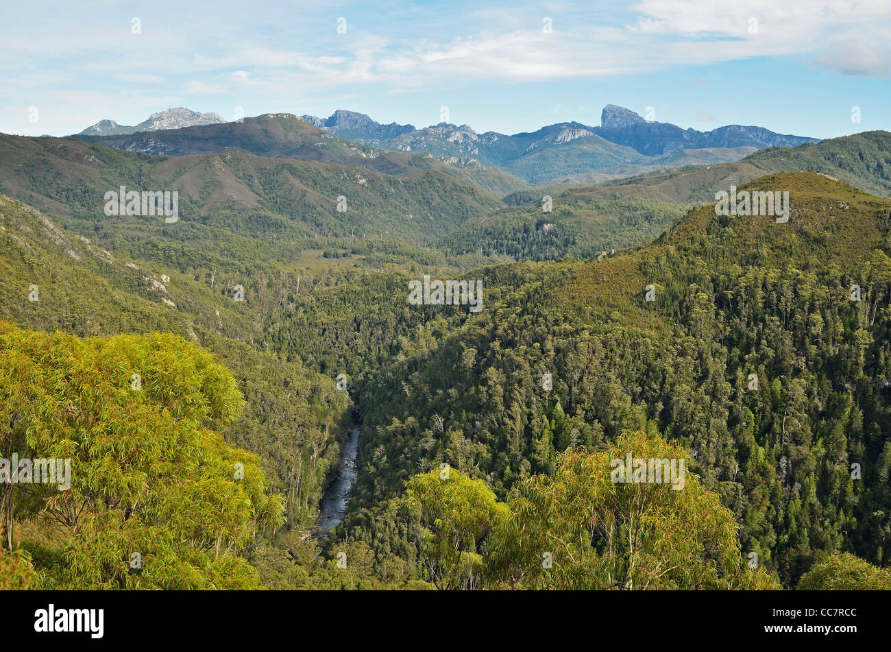 Frenchmans Cap y Franklin River, Parque Nacional Franklin-Gordon Wild Rivers, zona declarada Patrimonio Mundial de la UNESCO, Tasmania, Australia Foto de stock