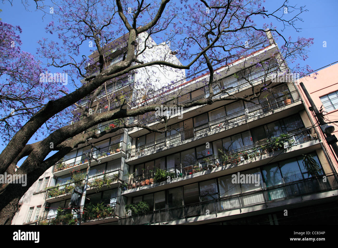 Edificio de apartamentos, en la Colonia Condesa, La Condesa, moderno
