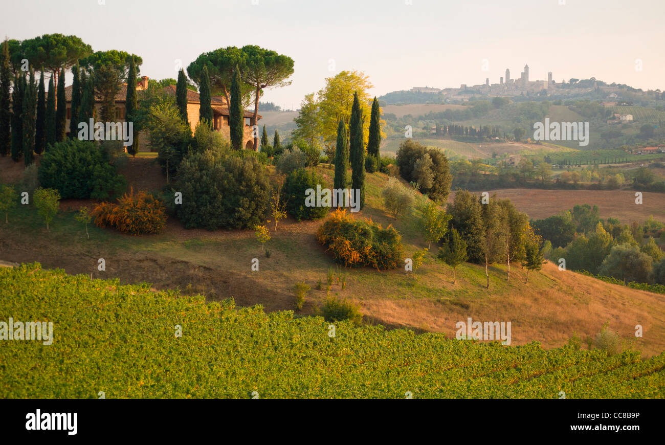 Paisaje con viñedos y agroturismo Lodge cerca de San Gimignano en la Toscana (Toscana, Italia) Foto de stock