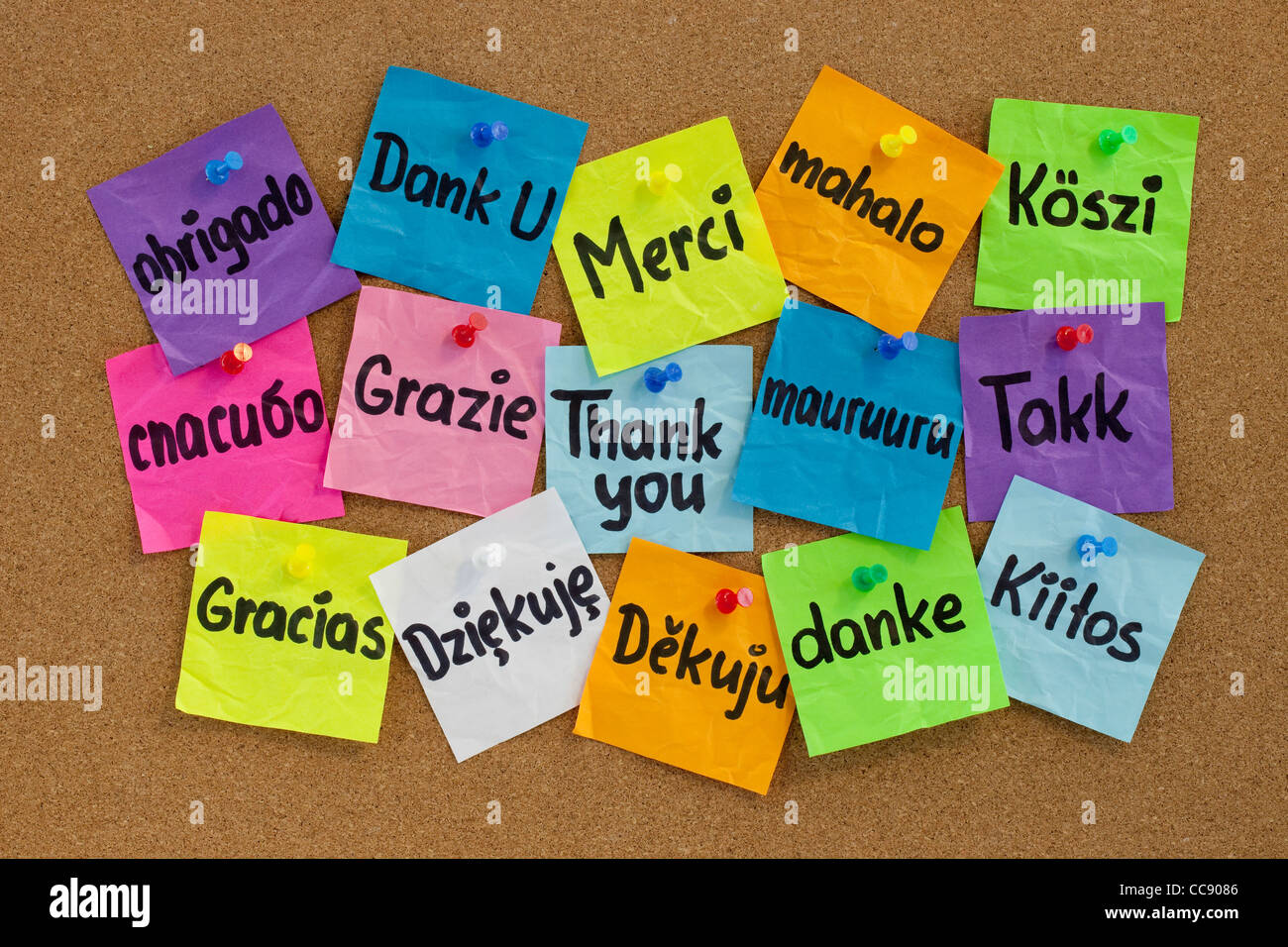 Gracias en 16 idiomas - colorida notas adhesivas con escritura a mano en el tablón de anuncios de corcho Foto de stock