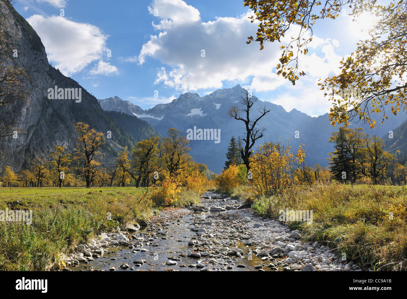 Corriente de montaña en otoño, Grosser Ahornboden, Karwendel, Tirol, Austria Foto de stock