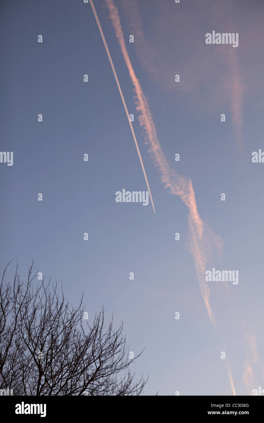 Rastro de vapor en el cielo azul de tree top, Suffolk, Reino Unido Foto de stock