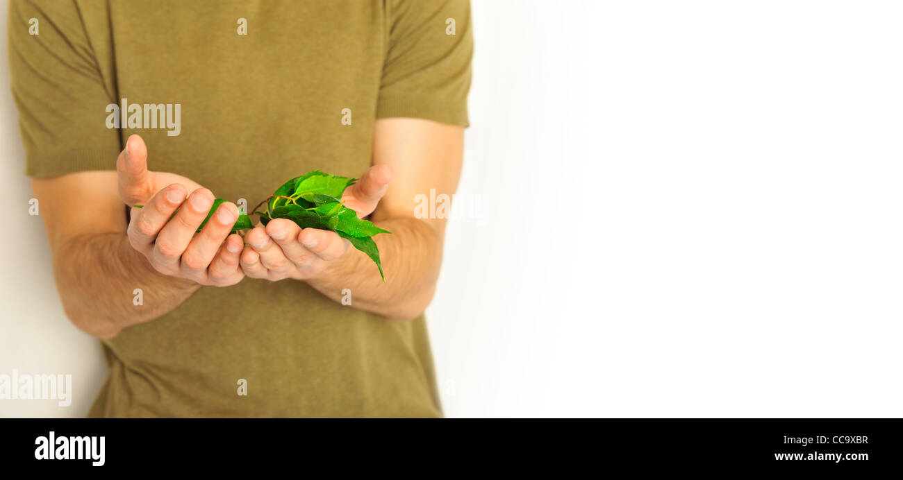 Jóvenes sanos masculinos hombre sujetando planta en manos Foto de stock