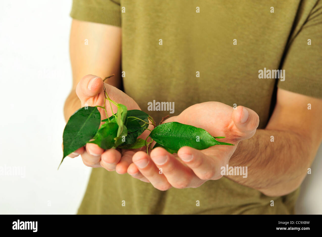 Jóvenes sanos masculinos hombre sujetando planta en manos Foto de stock