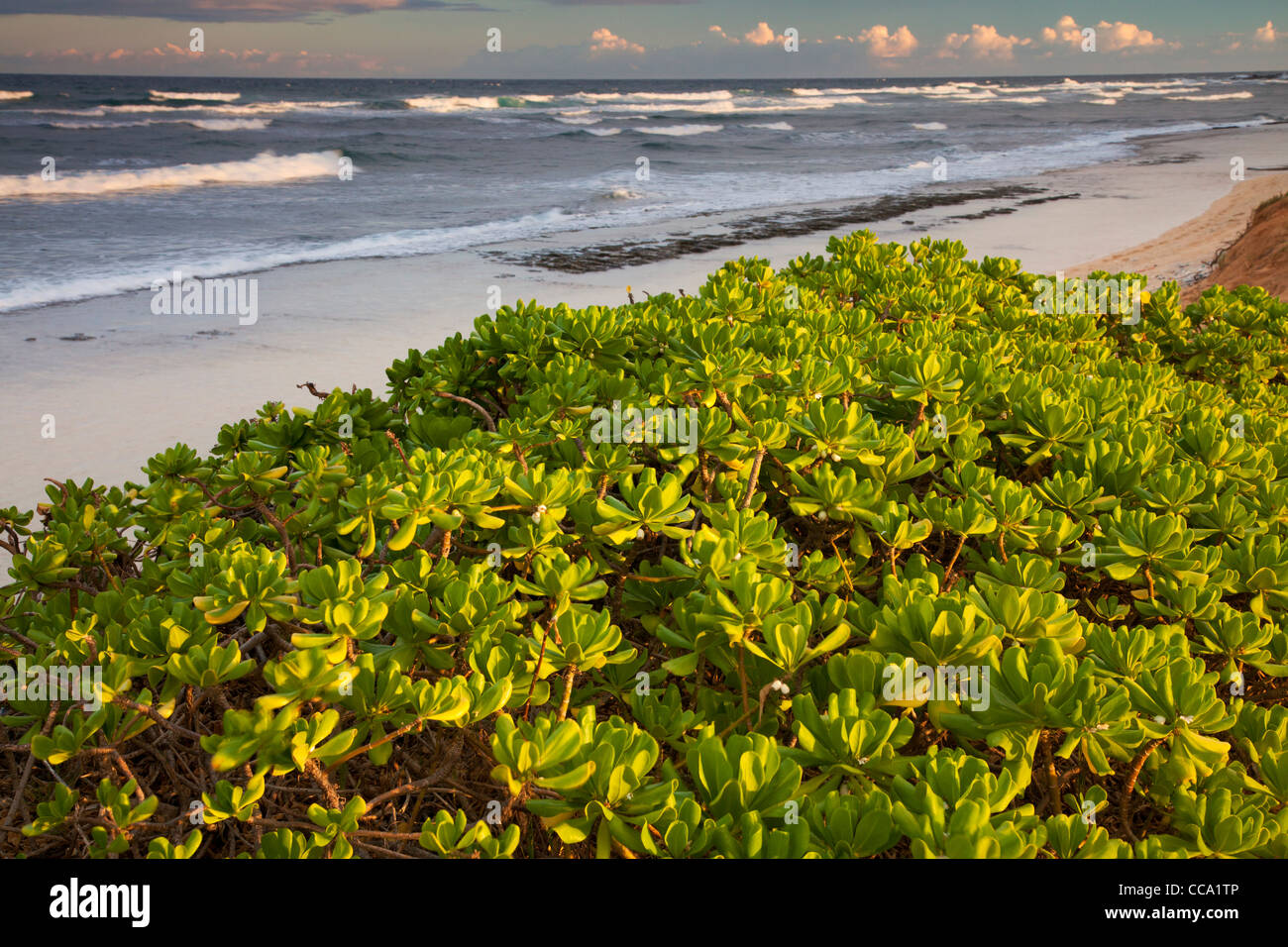 Nukolii Beach, también conocido como cocinas, Playa de Kauai, Hawaii. Foto de stock