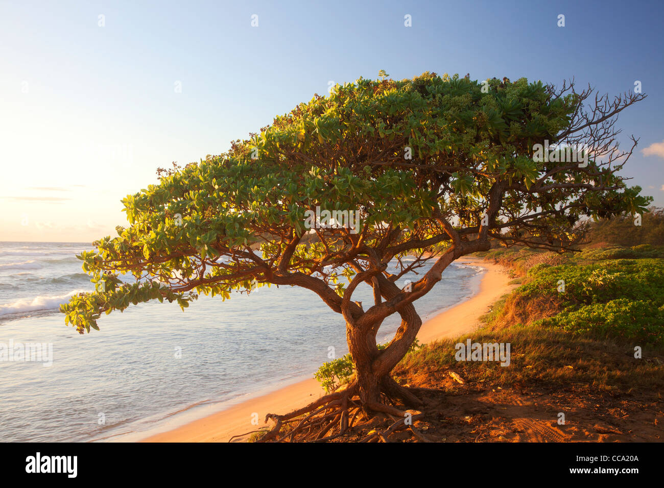 Nukoli'i Beach, también conocido como cocinas, Playa de Kauai, Hawaii. Foto de stock