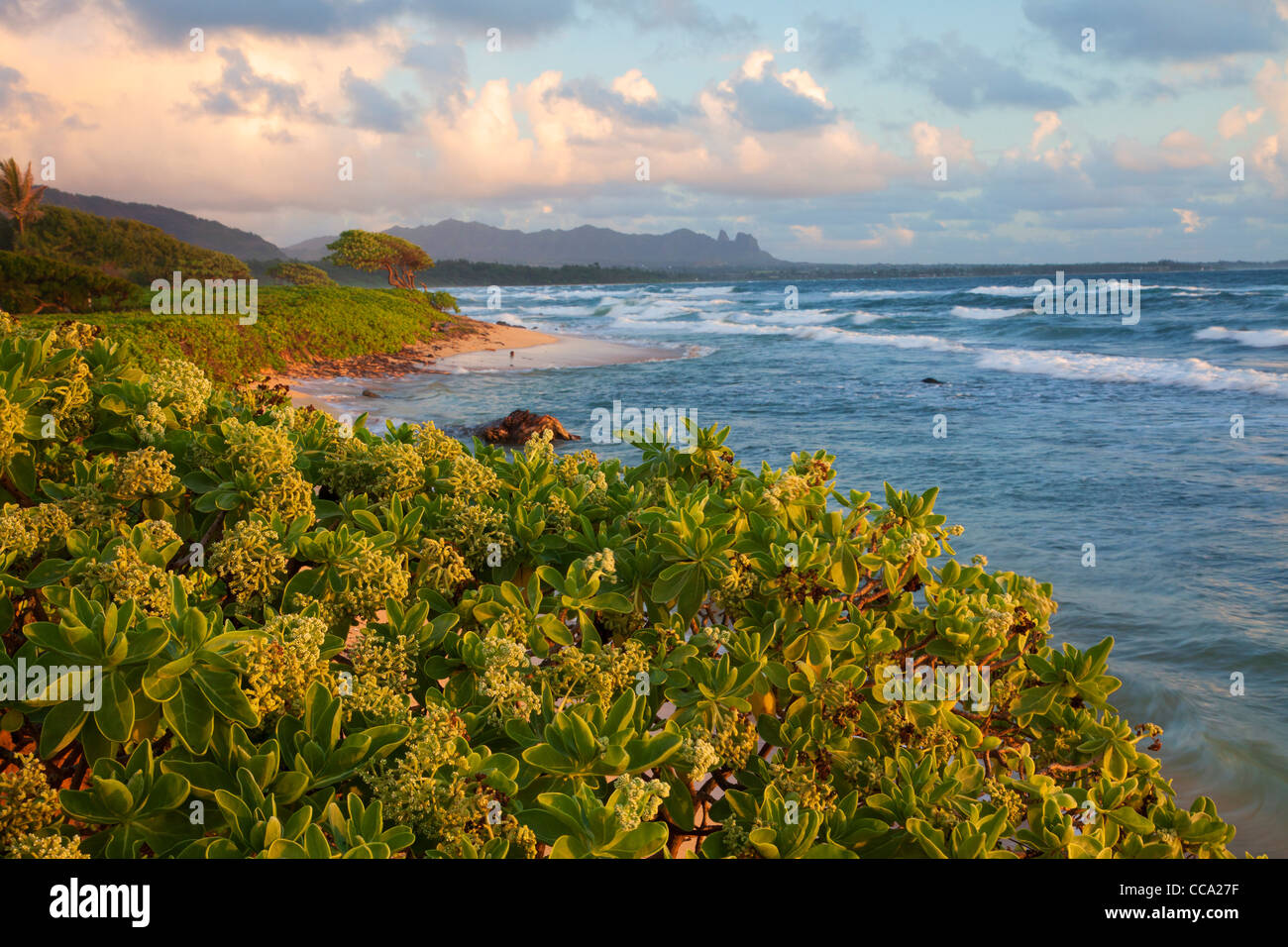 Nukoli'i Beach, también conocida como playa de cocinas, Lihu'e de Kauai, Hawaii. Foto de stock