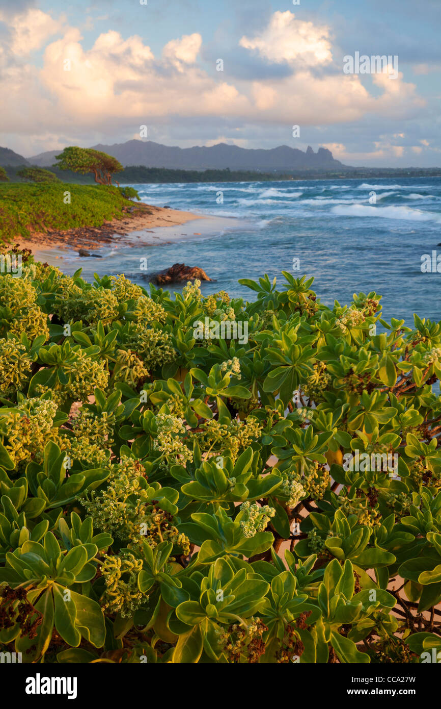 Nukoli'i Beach, también conocida como playa de cocinas, Lihu'e de Kauai, Hawaii. Foto de stock