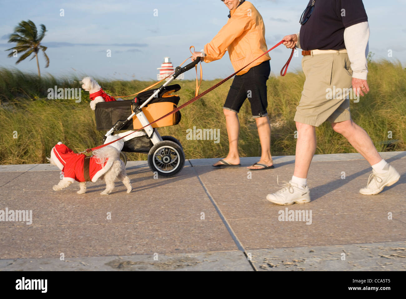 La gente paseando sus perros a lo largo de la Promenade en South Point Park de Miami. Los perros son ataviados con abrigos de Navidad roja Foto de stock