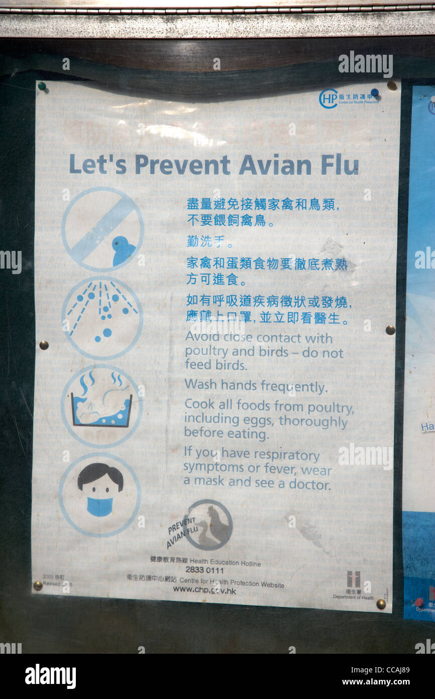 La gripe aviar precauciones prevenciones de salud pública aviso de la RAE de Hong Kong China Asia Foto de stock