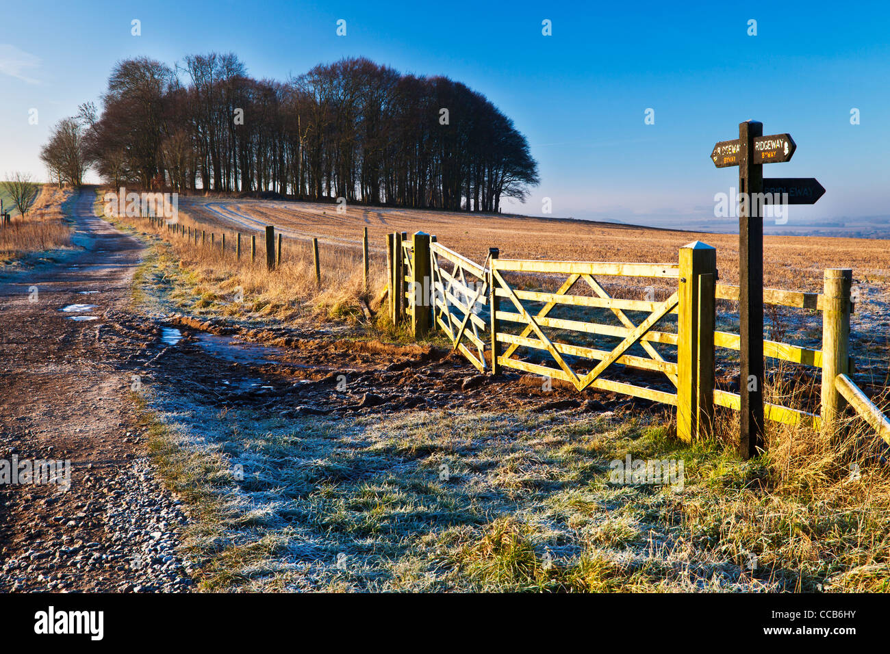 Un invierno gélido amanecer sobre la ruta de larga distancia de Ridgeway Hackpen Hill, Wiltshire, Inglaterra, Reino Unido. Foto de stock