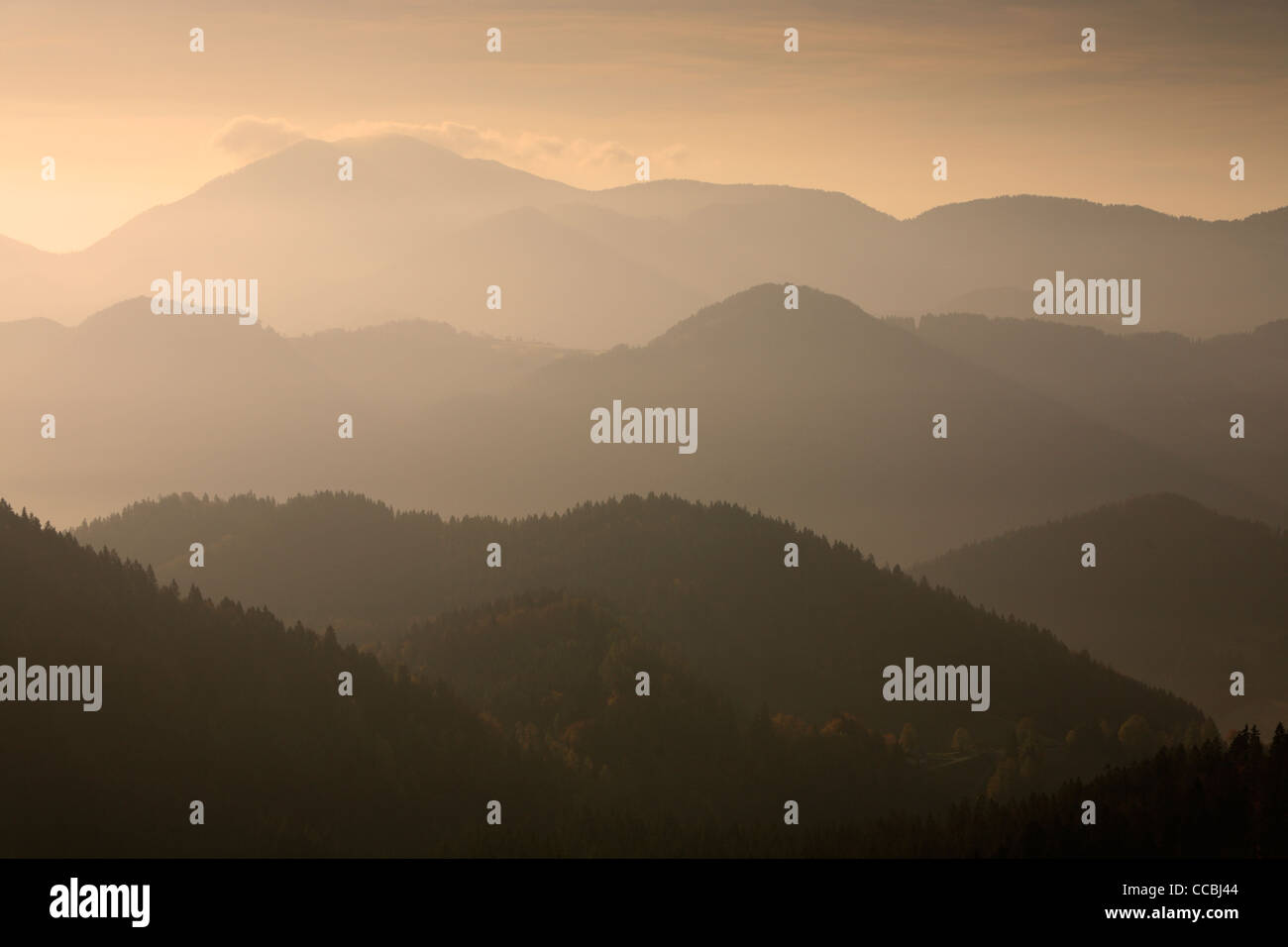 Niebla de la mañana en otoño envuelve el Jelovia colinas cerca Spodnja Sorica, Zelezniki, Carniola Superior, Eslovenia Foto de stock