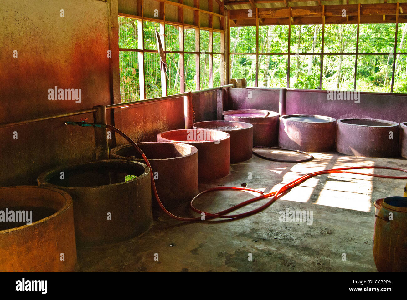 Comunidad casa para morir en batik de más al sur de Tailandia Foto de stock