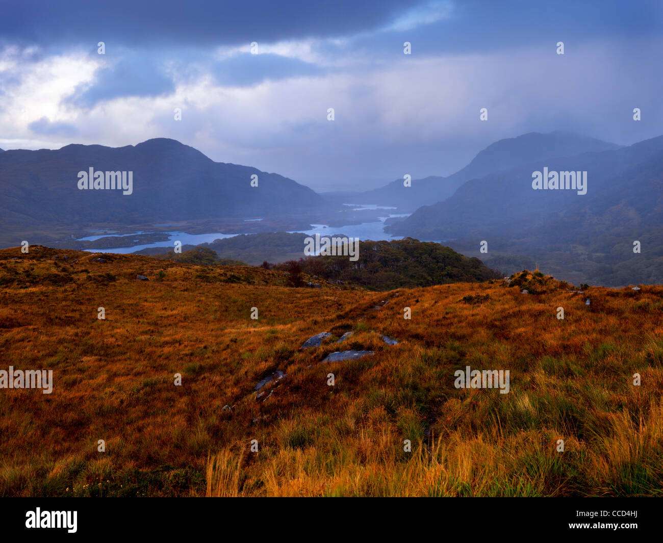 Lady's View, lagos superiores, el Parque Nacional de Killarney, Kerry Co.. Foto de stock