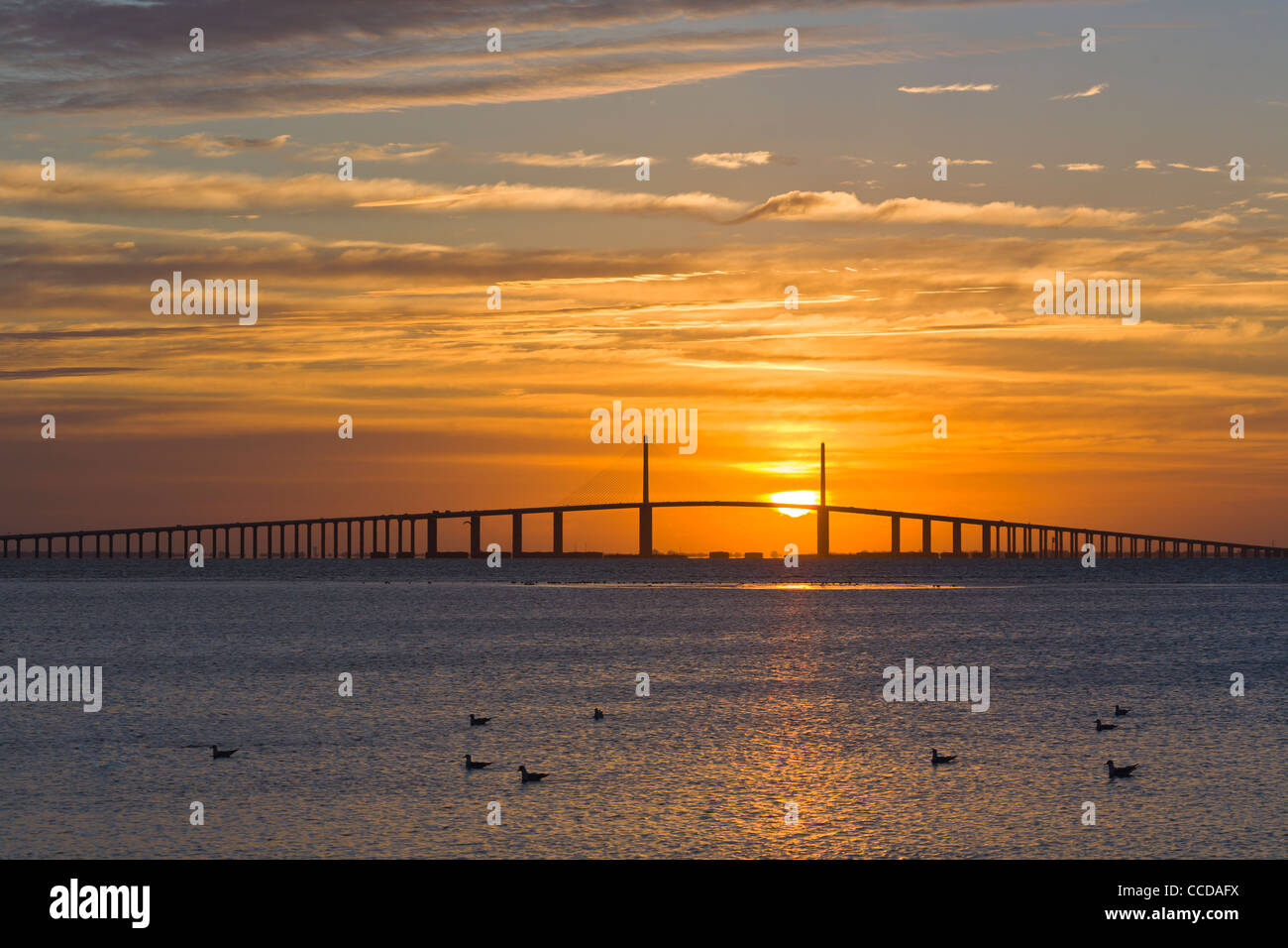 Amanecer sobre Bob Graham Sunshine Skyway Bridge, un puente suspendido sobre la bahía de Tampa, Florida, Foto de stock