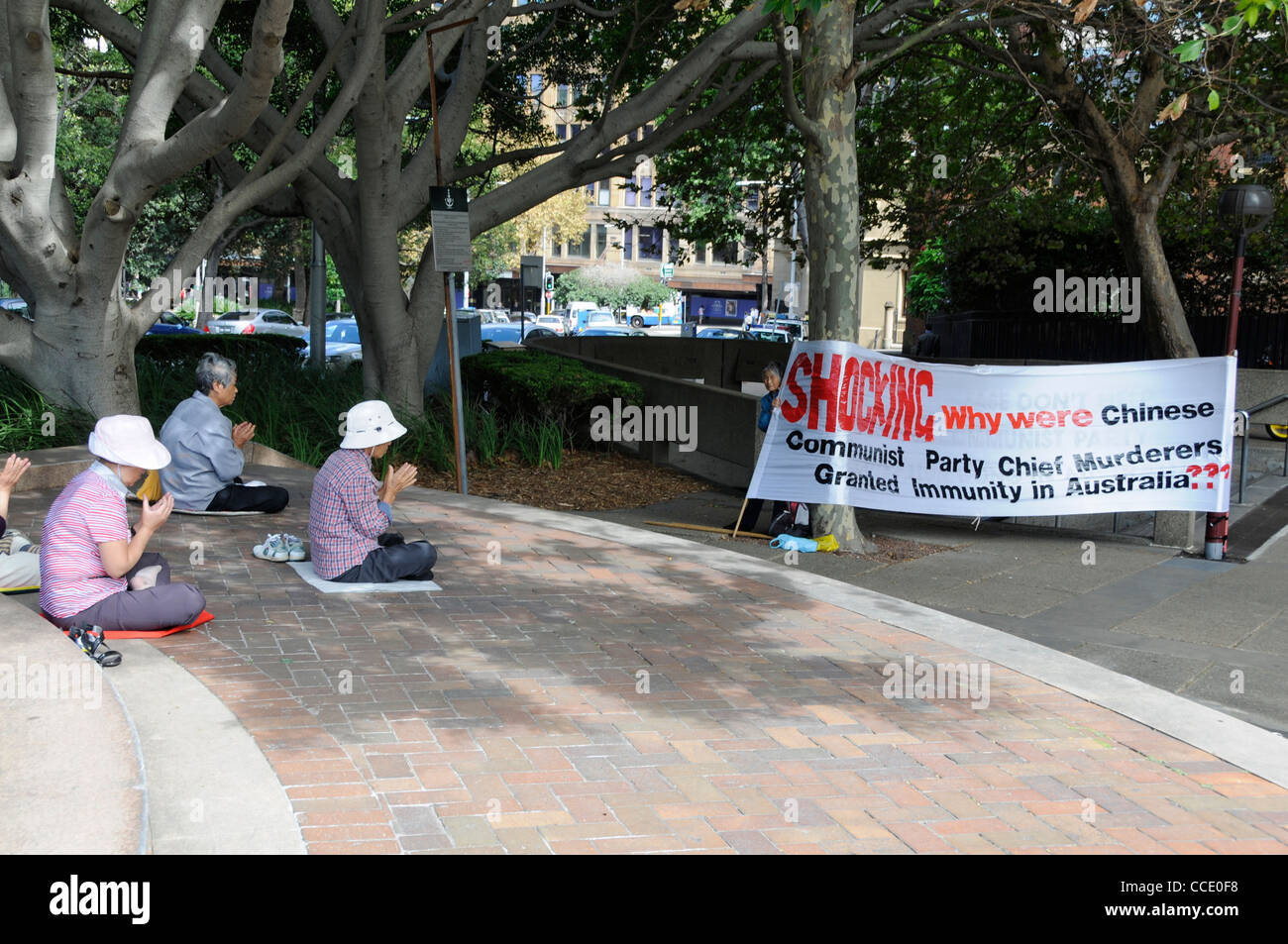 Un grupo de chinos australianos celebra una reunión de protesta cerca de Hyde Park en Sydney, Nueva Gales del Sur, Australia Foto de stock