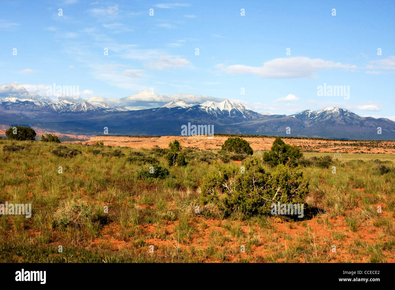 Paisaje desértico y la nieve en las montañas de Utah Foto de stock