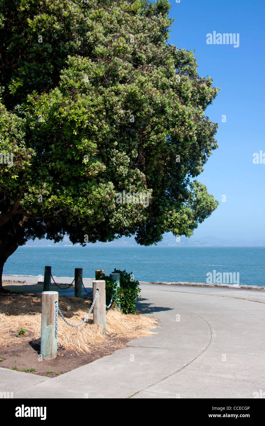 Ruta pavimentada a lo largo de la costa con árbol alto Foto de stock