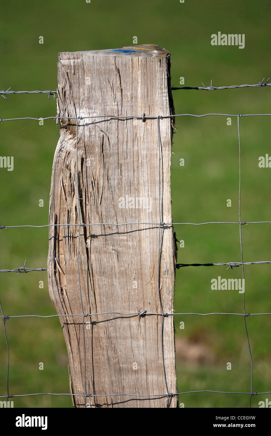 Poste de cerca y cerco de malla de alambre. Foto de stock