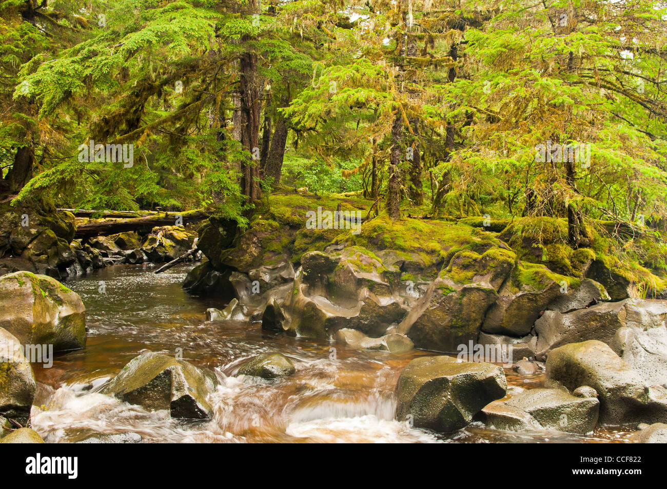 Fred's Creek, Isla Kruzof, sureste de Alaska Foto de stock