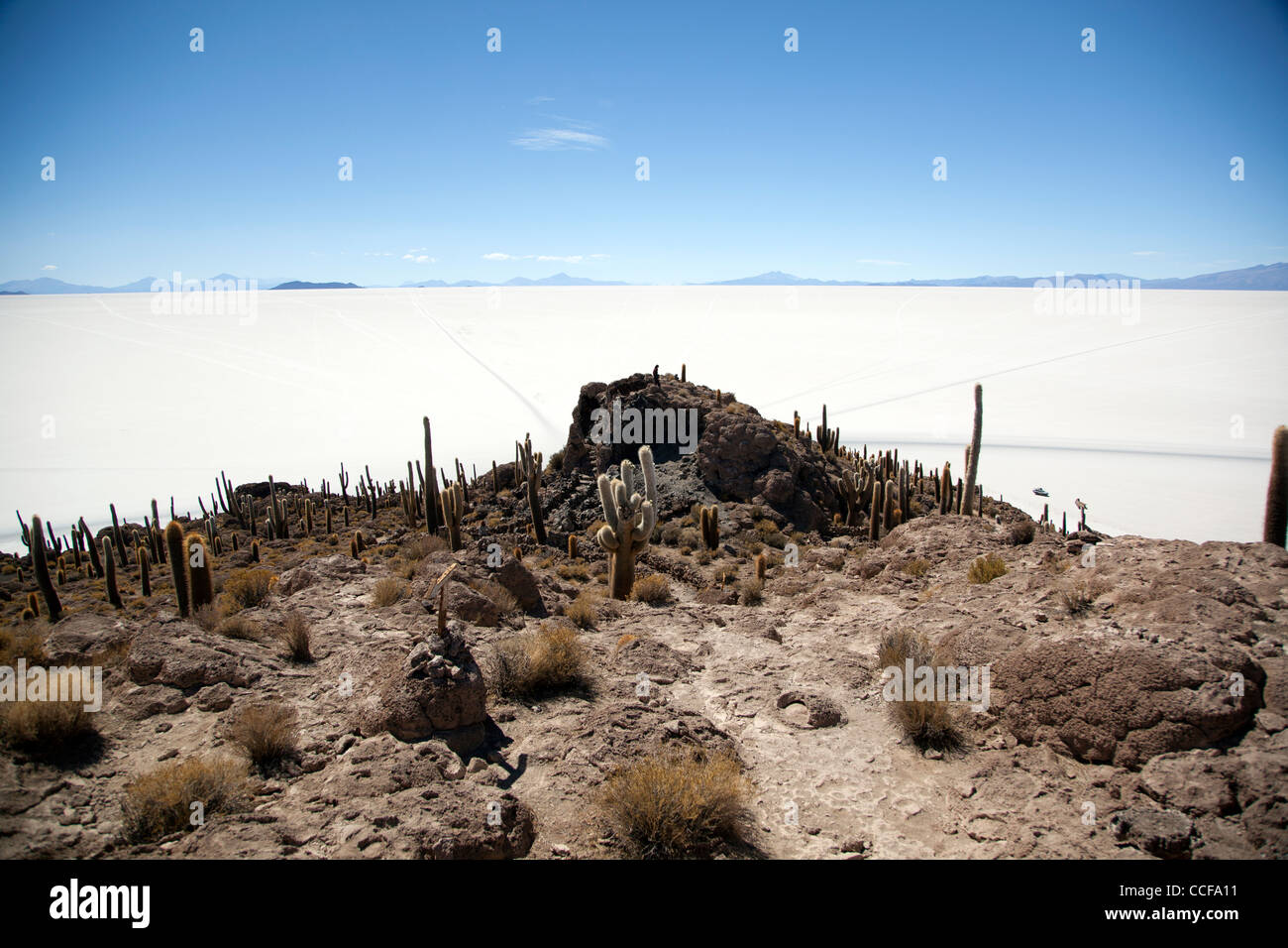 La Isla Incahuasi, o la Isla de los cactus, en Bolivia el Salar de Uyuni, el salar más grande del mundo y los principales sitios turísticos. Foto de stock