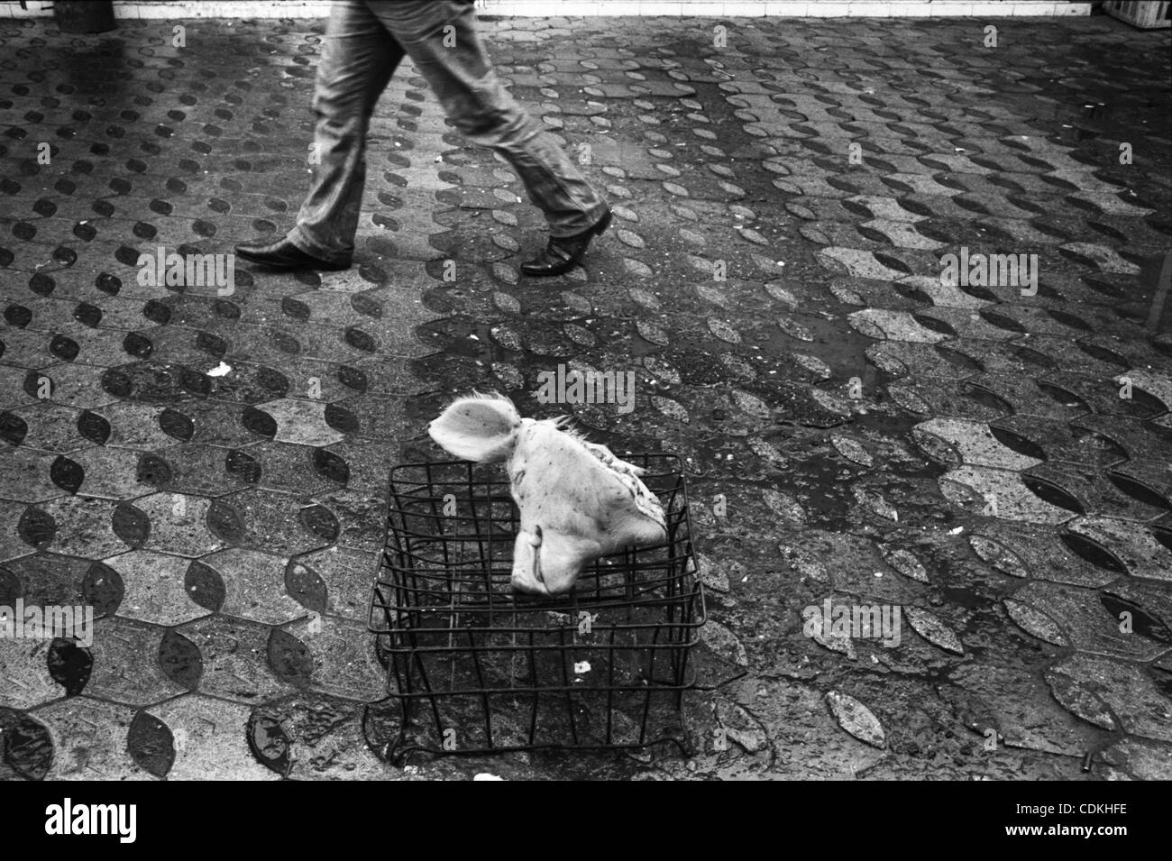 La gente vive en los contenedores, después de 23 años. Asia, Armenia, Gyumri, 06.03.2011: de Gyumri (ex Leninakan) sufridos por el terremoto de diciembre 7, 1988. El epicentro del terremoto fue en la ciudad de Spitak, matando a 25.000 personas. En Gyumri más de 20.000 apartamentos y casas privadas fueron arruinadas y Foto de stock