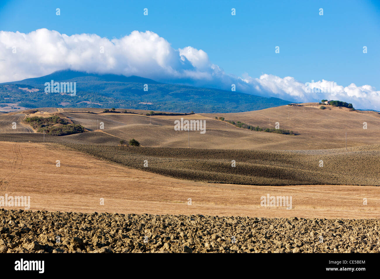 Paisaje ondulado cerca Contignano, provincia de Siena, Toscana, Italia, Europa Foto de stock