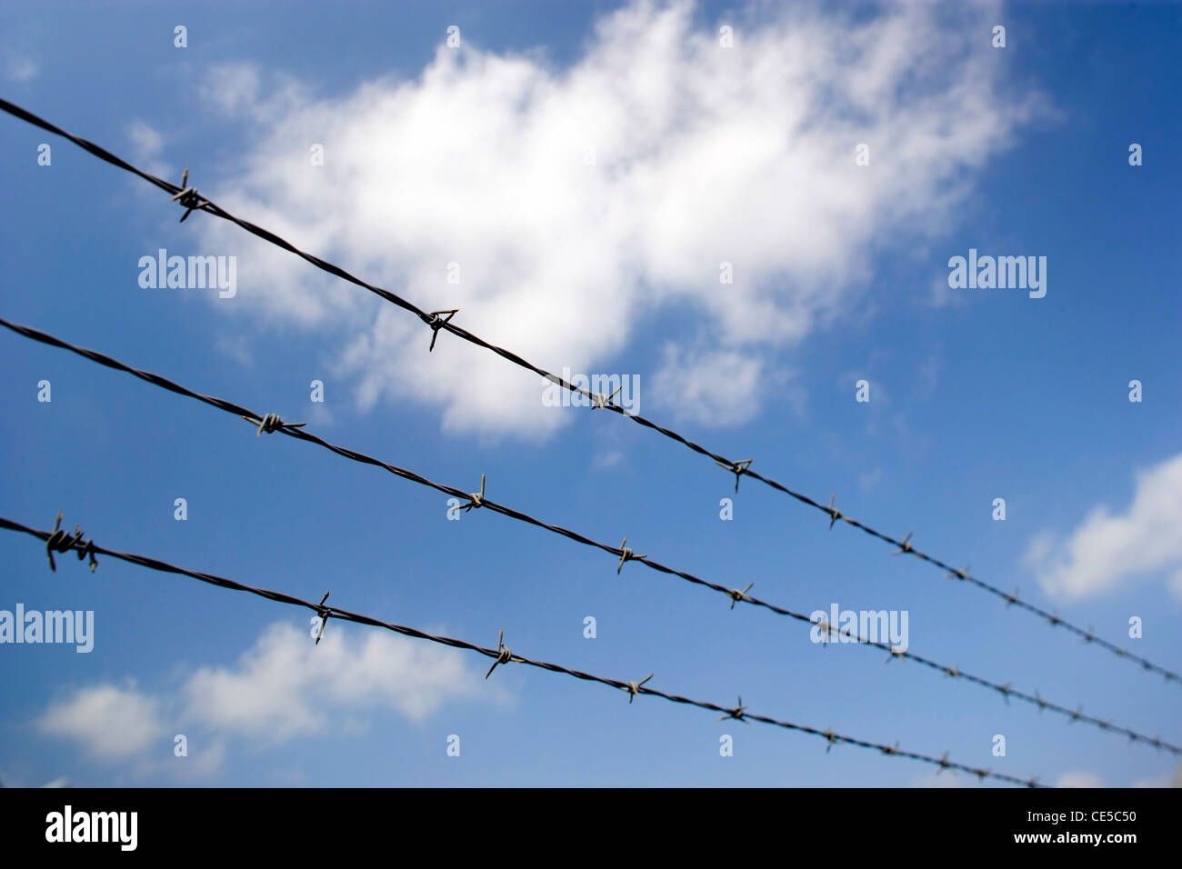 Alambre de púas contra un cielo azul claro Foto de stock