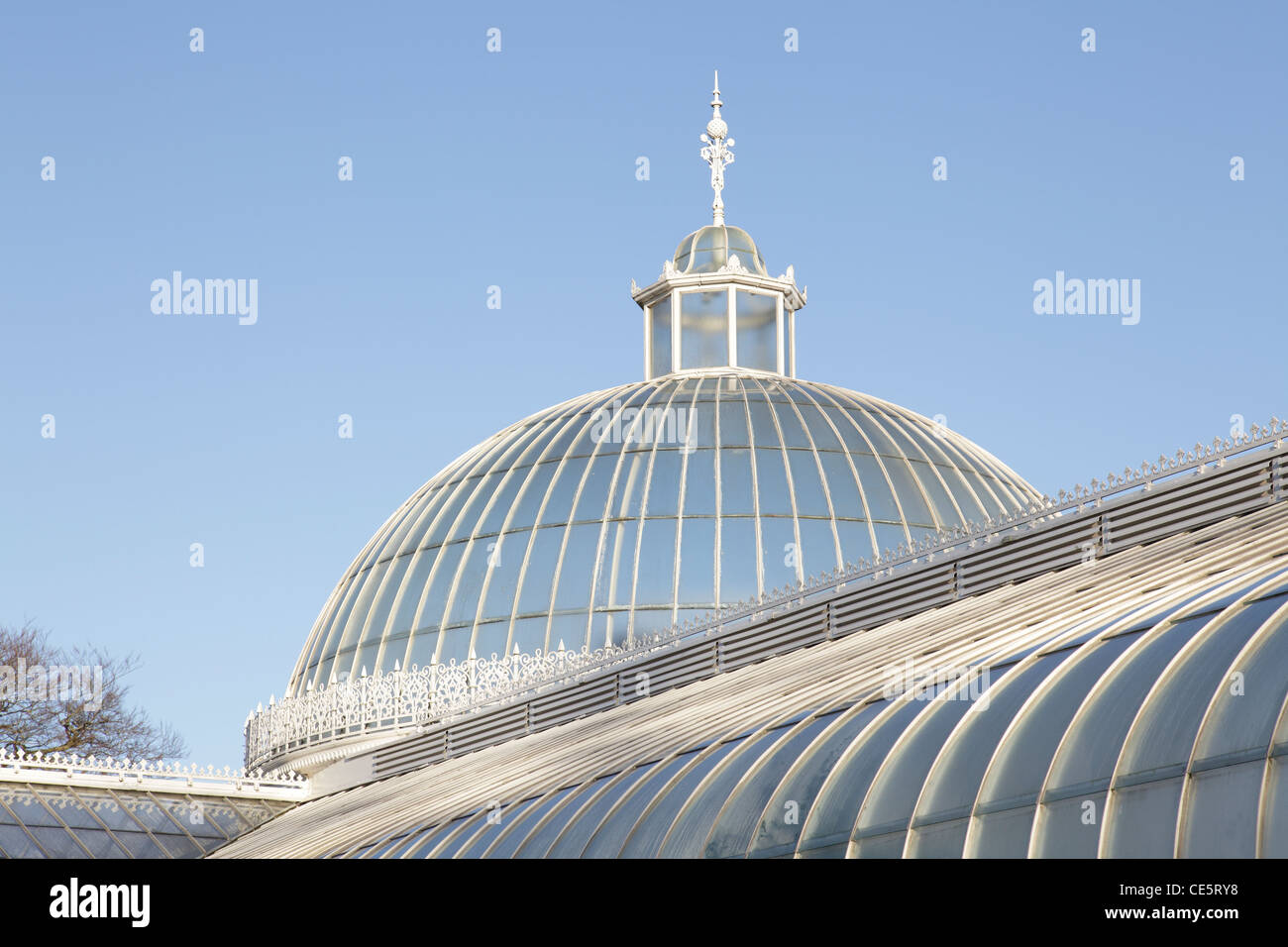 Detalles del techo del Palacio de Kibble, parque público de los Jardines Botánicos, West End of Glasgow, Escocia, Reino Unido Foto de stock