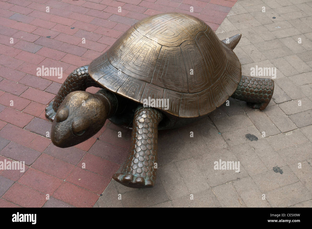 Metal turtle fotografías e imágenes de alta resolución - Alamy