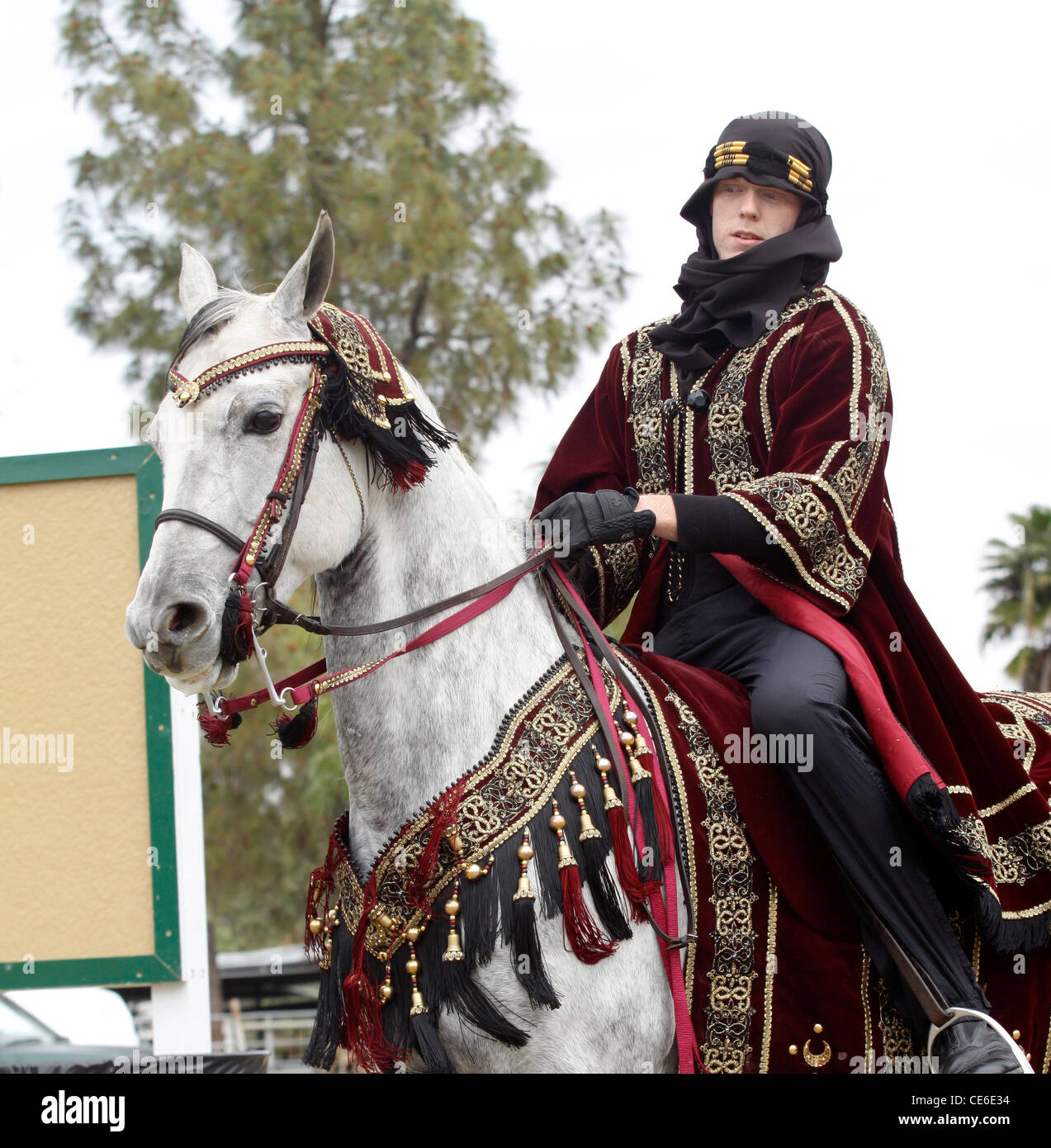 Sultán árabe a caballo Foto de stock